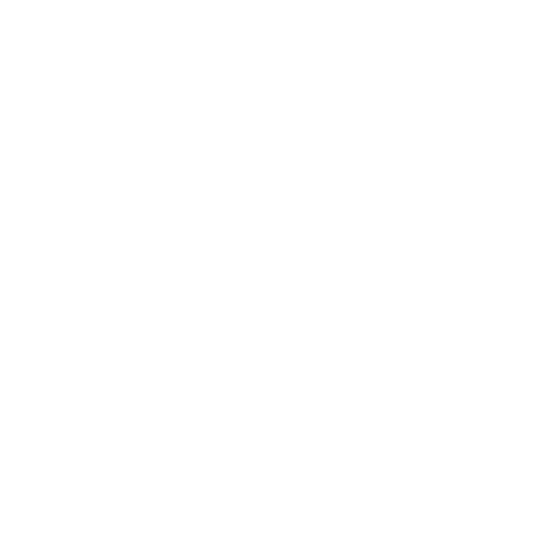 IPP icono