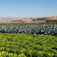  Parque Agrario de Fuenlabrada 