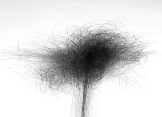 Conversando con la obra de Simone Weil. Remedios Zafra