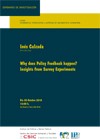 Seminario CIP: "Why does Policy Feedback happen? Insights from Survey Experiments"