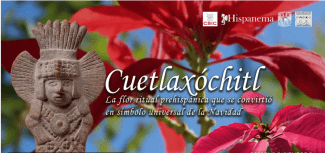 Presentación del vídeo "Cuetlaxóchitl. La flor ritual prehispánica que se convirtió en símbolo universal de la Navidad"